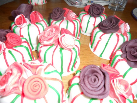 zij niet zo mooi gelukt 2011